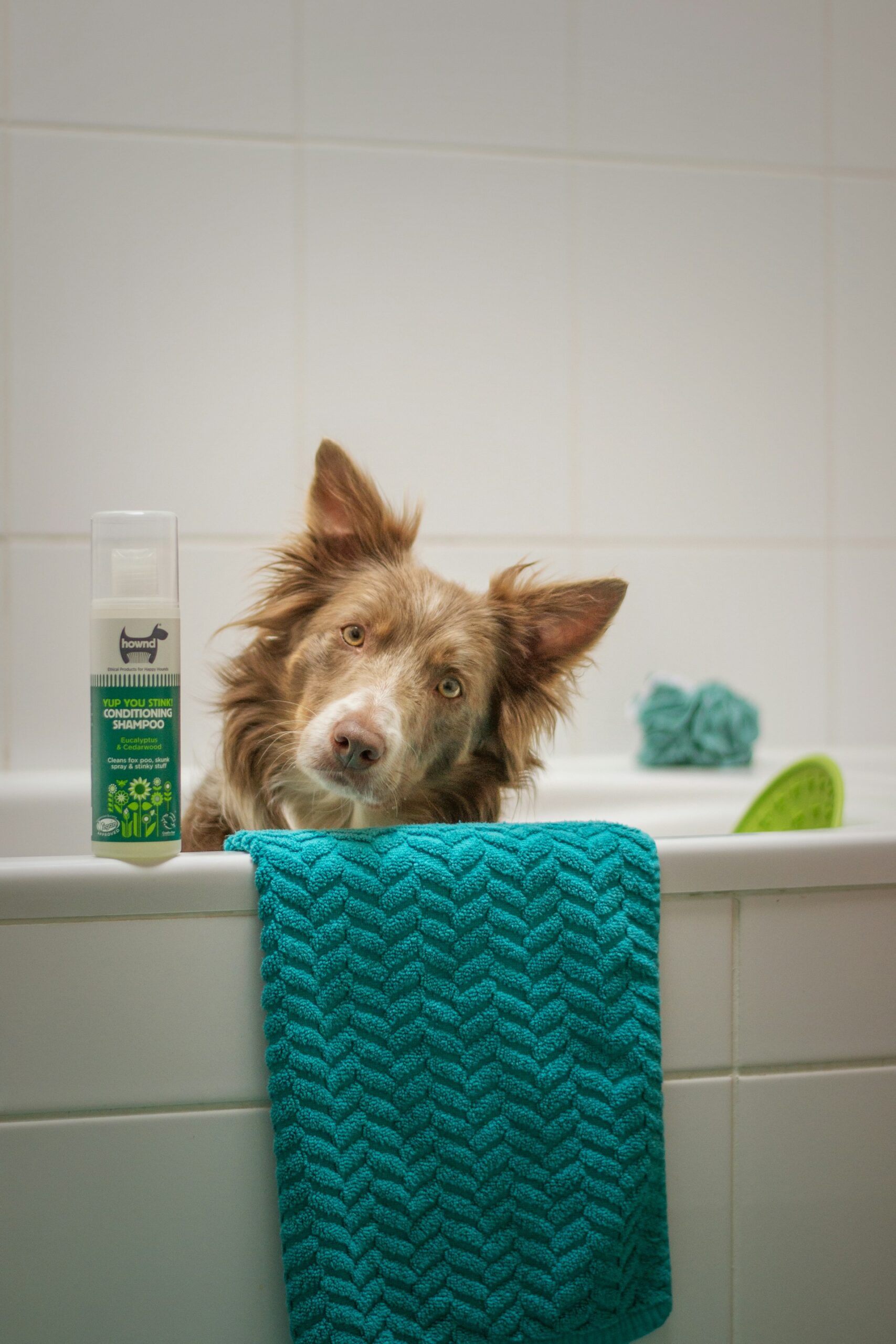 Hygiène et beauté